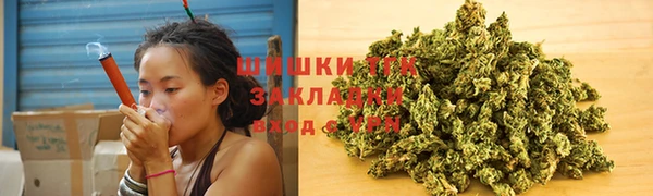 прущие грибы Заволжье