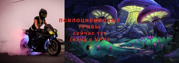 не бодяженный Абаза