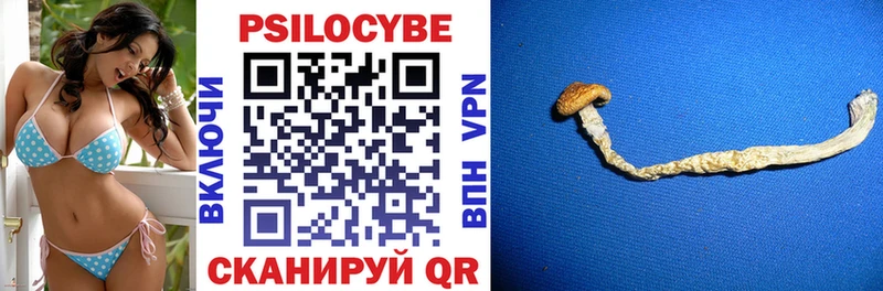 хочу наркоту  Сухиничи  Галлюциногенные грибы ЛСД 